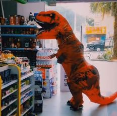 1582099853268761qpNH.jpg 恐龙.jpg